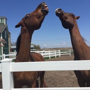 Meet your Posher, Cathy